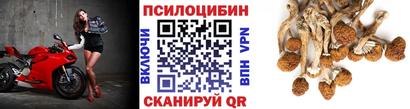 наркошоп Лахденпохья Галлюциногенные грибы мухоморы